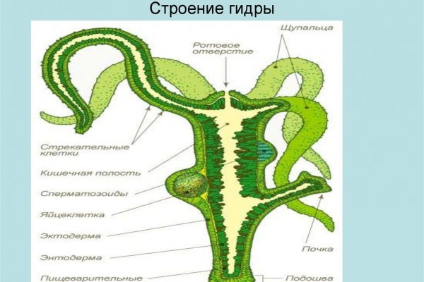 Кракен даркент