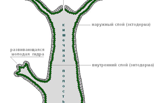 Кракен магазин даркнет