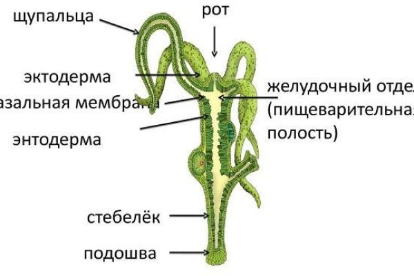 Кракен войти на сайт