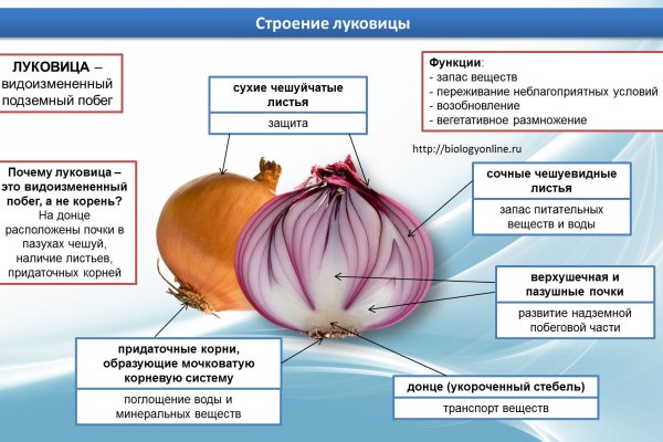 Покупки на кракене даркнет